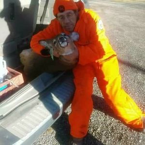 Meet your Posher, Paul